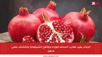 الرمان يعيد عقارب الساعة للوراء ويكافح الشيخوخة باكتشاف علمي مذهل